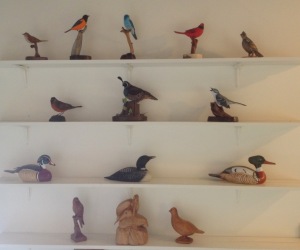 Carvings by Peter Padua on Exhibit at the Birds of Vermont Museum in Huntington, Vermont